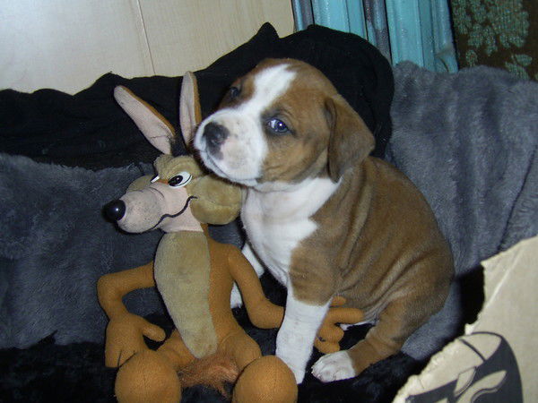 Витек Потамошнев