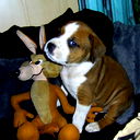 Витек Потамошнев