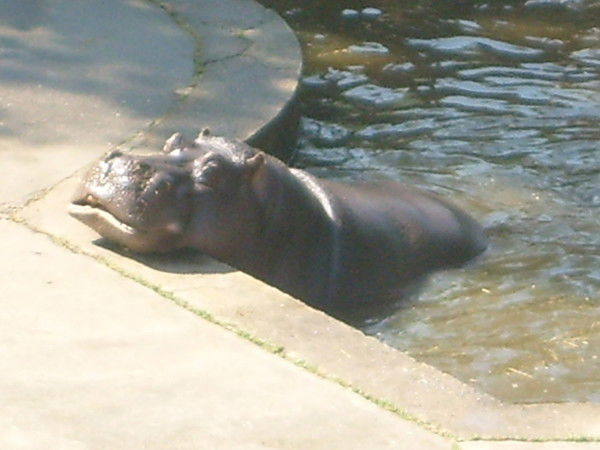 Татьяна Ежова