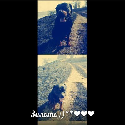 Софья Беляева