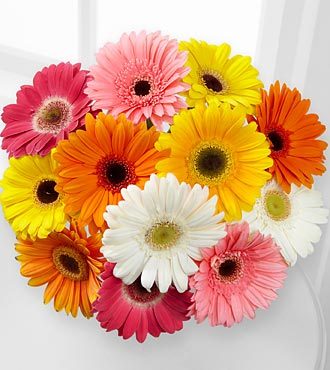 Наталья Захарова