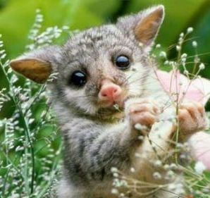 Ерболат Абен