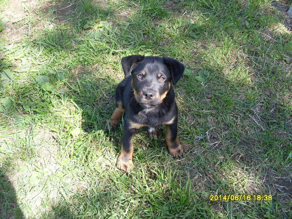 Татьяна Мокасеева