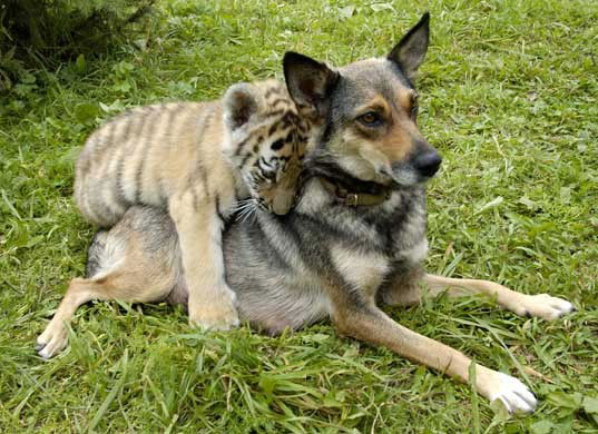 Ира Иванова