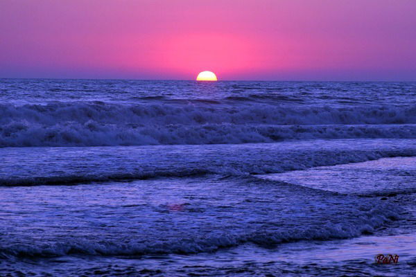 Елена Федичева