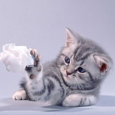 Рита Данилейко