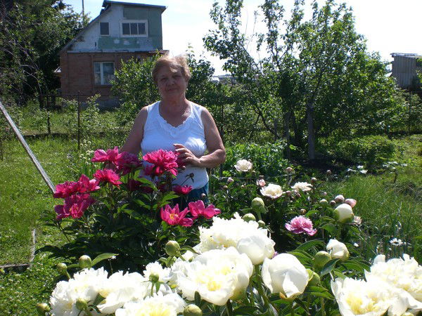 Валентина Шишкина