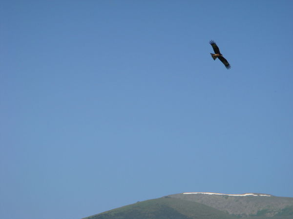 Светлана Рябова