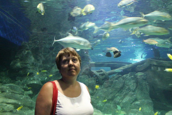 Елена Залюбовина