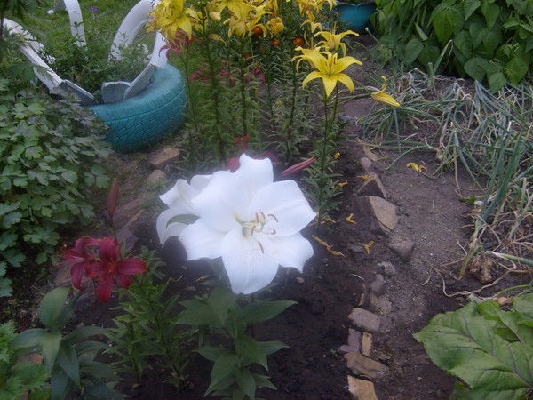 Валентина Войтюк