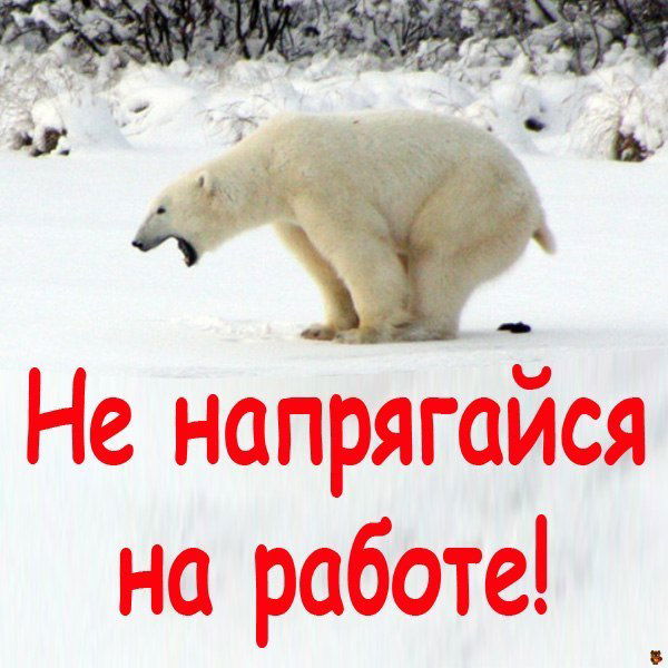 Олег Лапшин