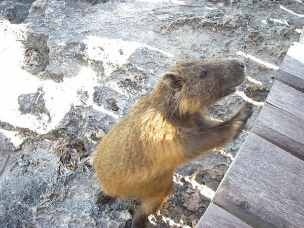 Ольга Заболухина