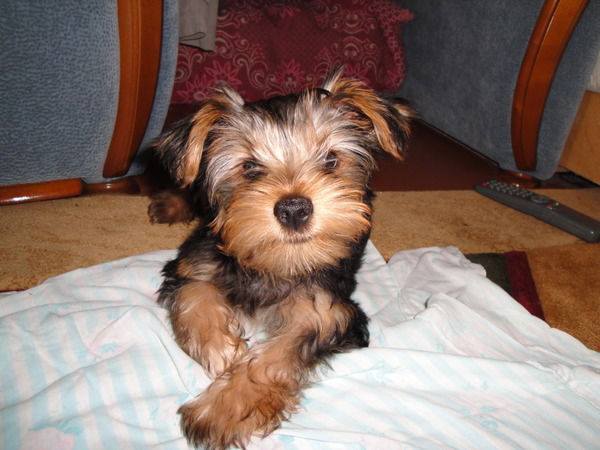 Алексей Кузьмин