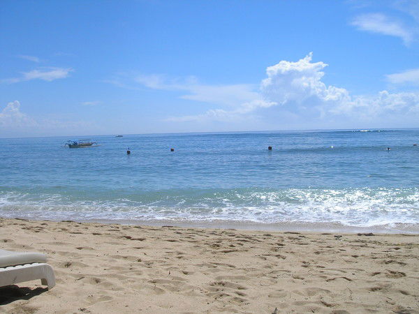 Елена Рябцева