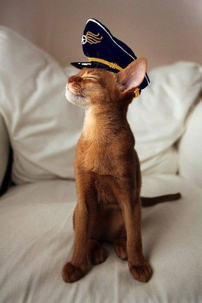 Диана Пронина