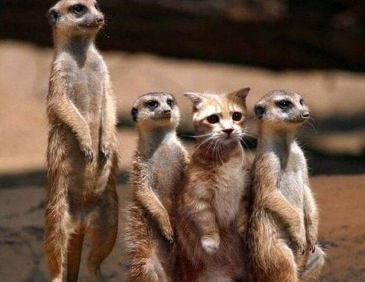 Алексей Хан