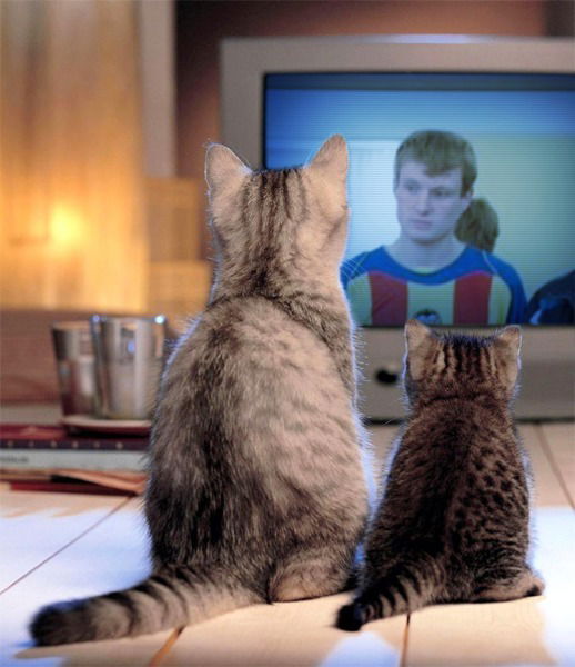 Тихон Базанов