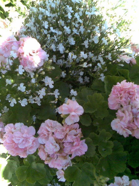 Света Шуруева