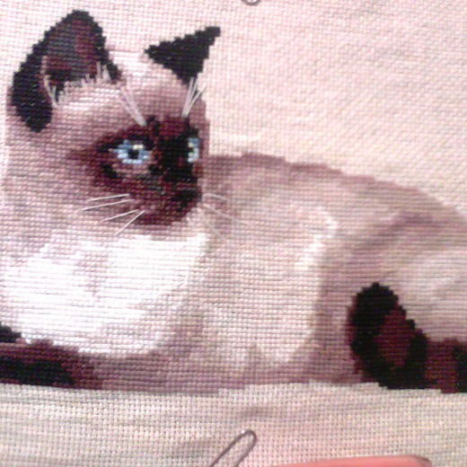 Лариса Грошева