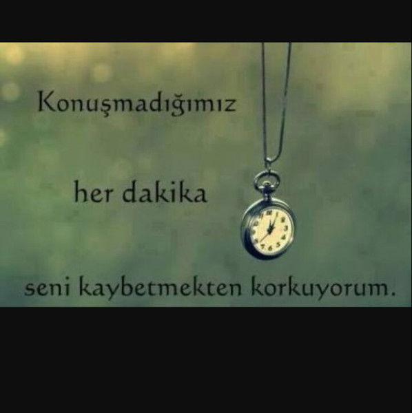 ***zafar*** ***rashidov***