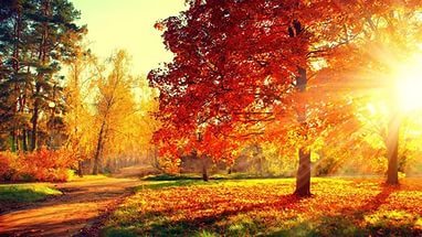 Сергей Хорт