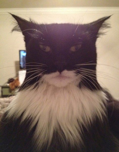 Дима Кайдаров