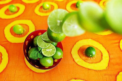 Елена Фомина