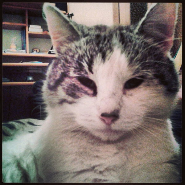 Федот Помогаев