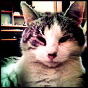 Федот Помогаев