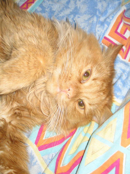 Фомин Игорь