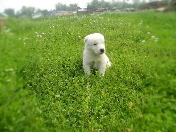 Юленька Баева