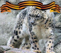 Александр Цветков