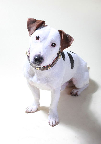 Рада Сморякова