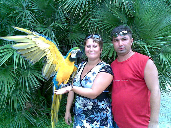 Сергей Масленников