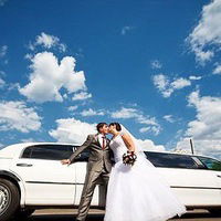 Бос Транспортная