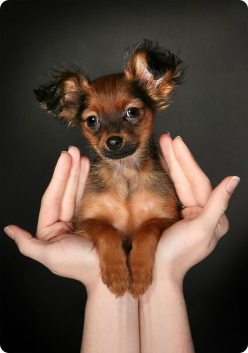 Евгения Гаврилова