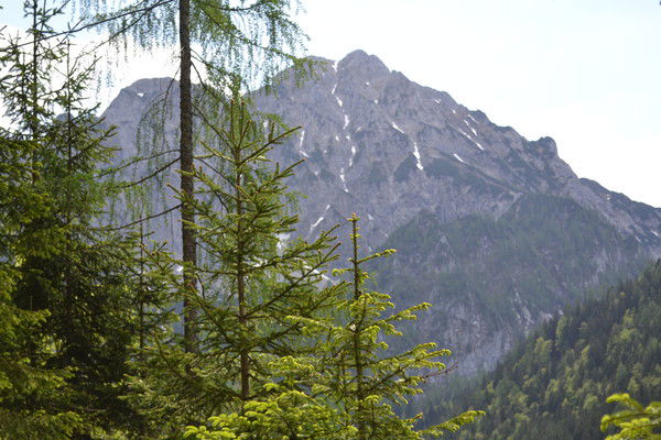 Махаббат Исина