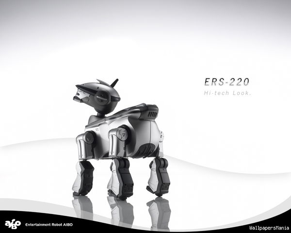 Сергей Алексеев