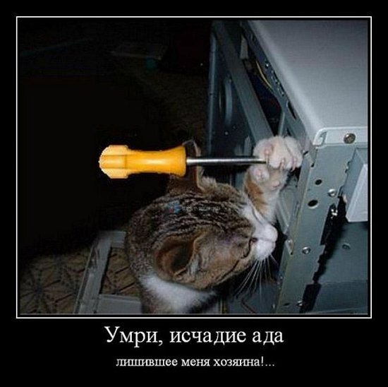 Сергей Полькин