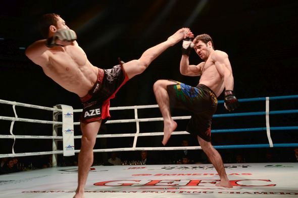 Николай Фартов