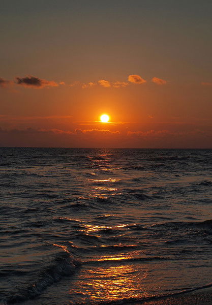 Александр Вигриянов