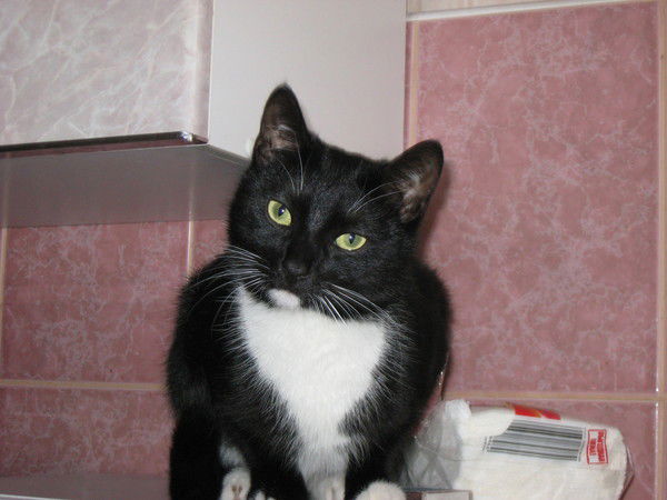 Наталья Семенюк