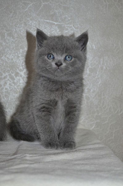 Вадим Зайруллин