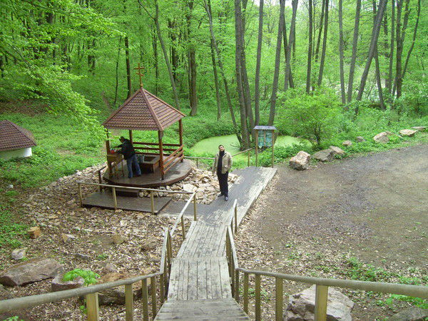 Дмитрий Капшук