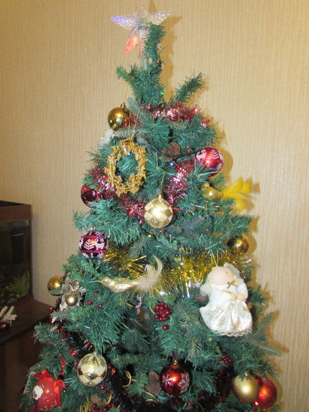 Naida Шарипова