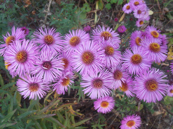 Ольга Круглова