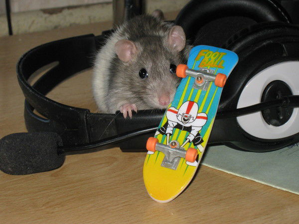 Елена Воробьёва