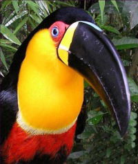 Александра Швиндт