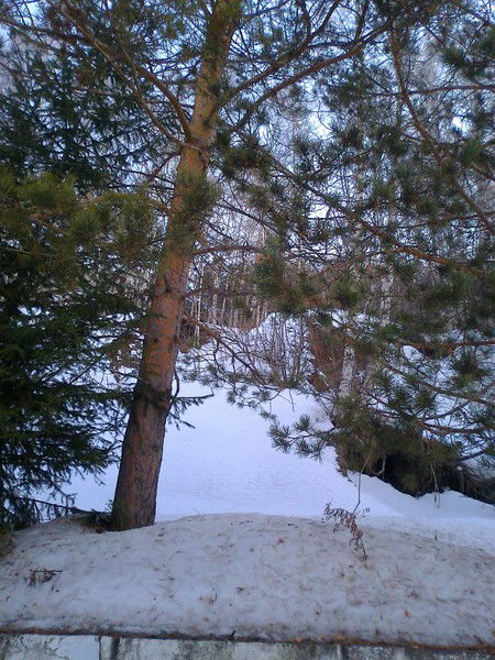 Наталья Заикина