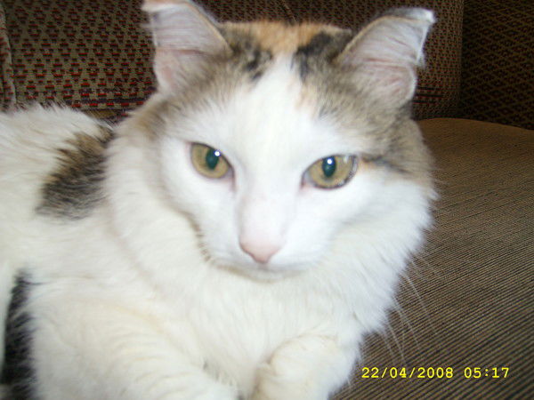 Валерий Сосков